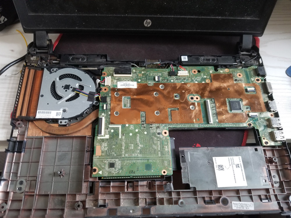 4032-3024-max.jpg