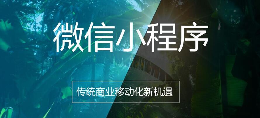 安阳小程序定制费用多少